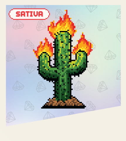 Fuzzies Diamonds Mojave Jack