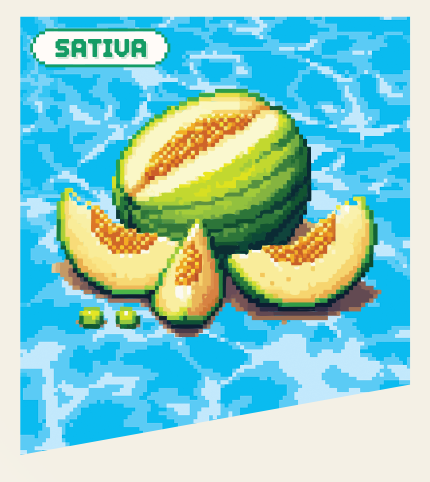 Fuzzies Originals Honeydew